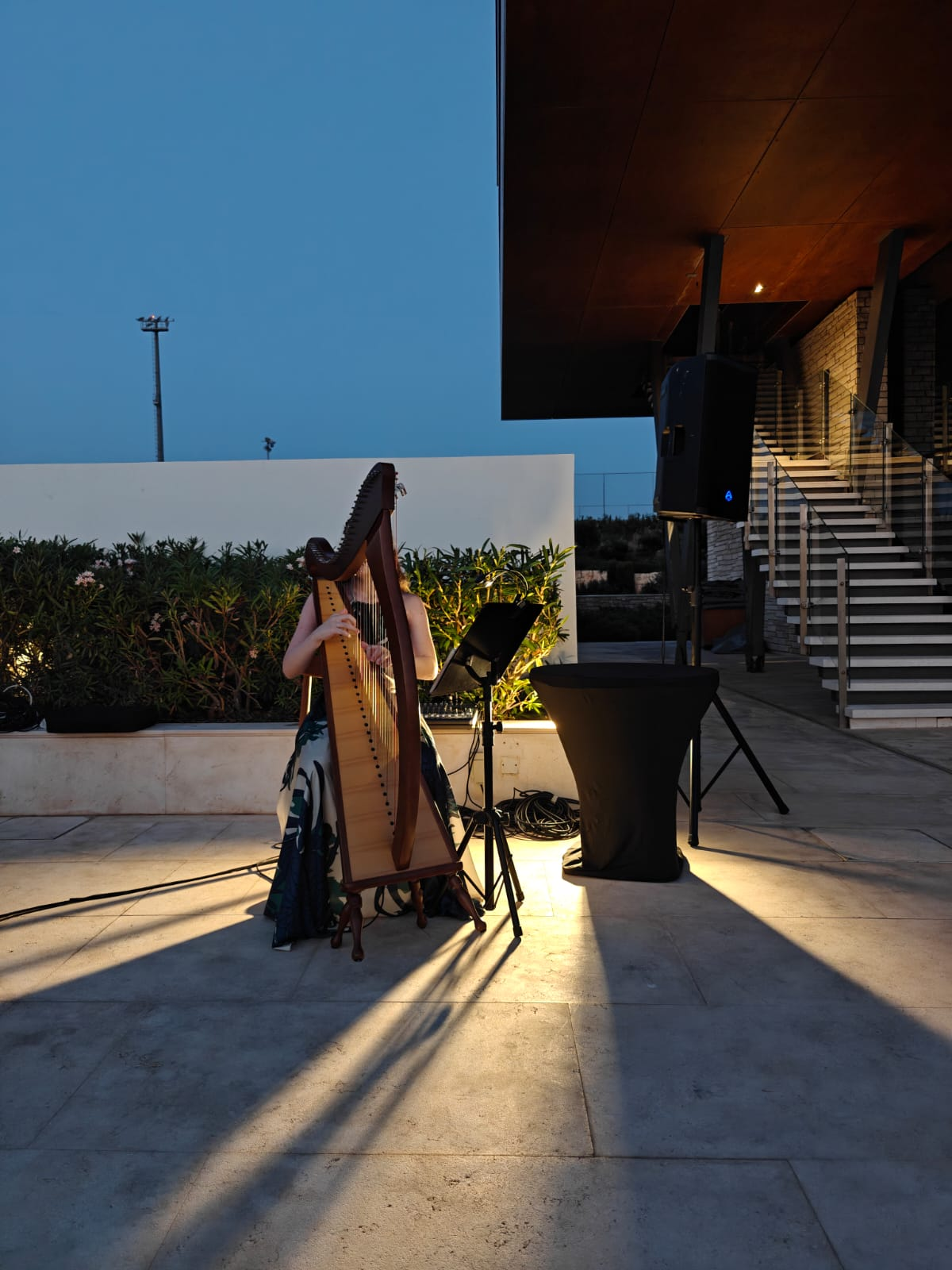 Angelina playing the harp on a terrace at dusk