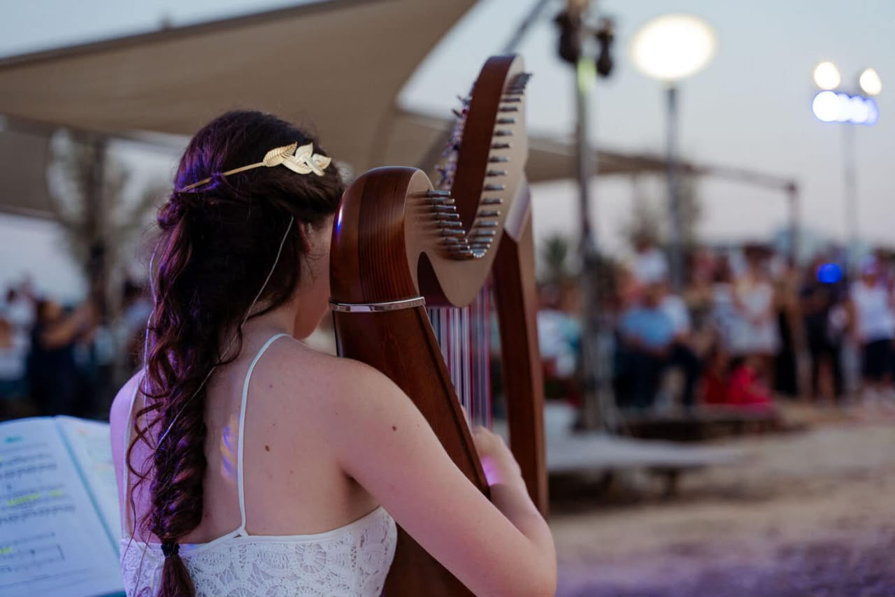 Angelina playing the harp, seen from behind, with the audience in the background